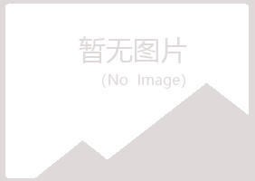 山西女孩能源有限公司